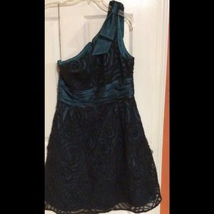 Gorgeous One shoulder Lace overlay dress.